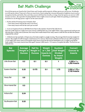 Project WILD's Bat Math Challenge-6.jpg