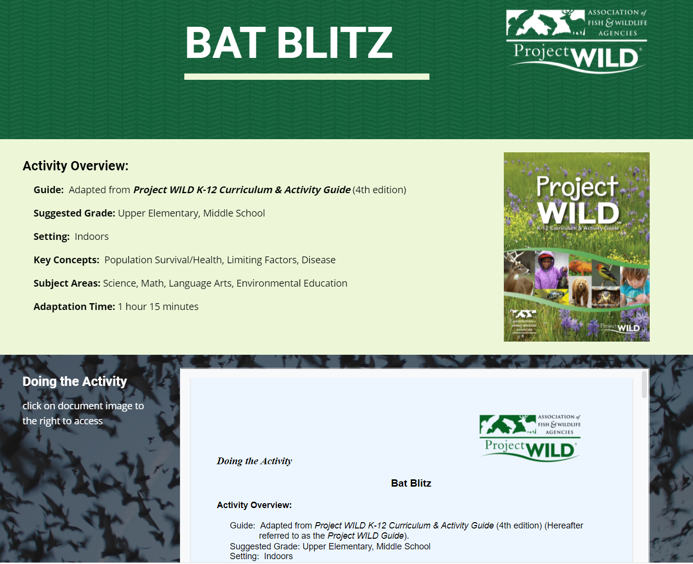 WILD Learning Lab Bat Blitz image.PNG