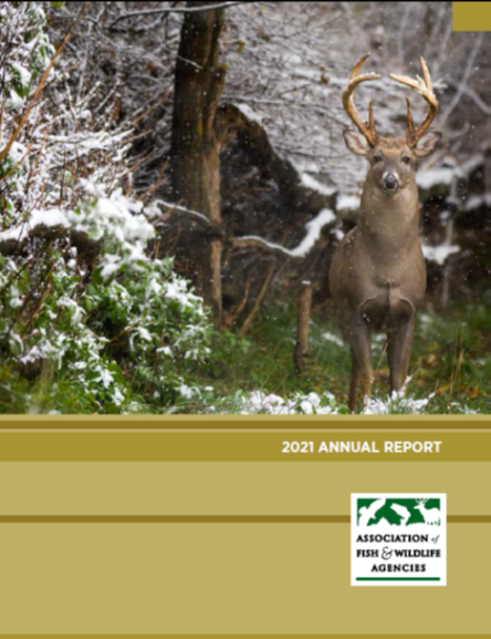 2021 AFWA Annual Report-thumbnail.png