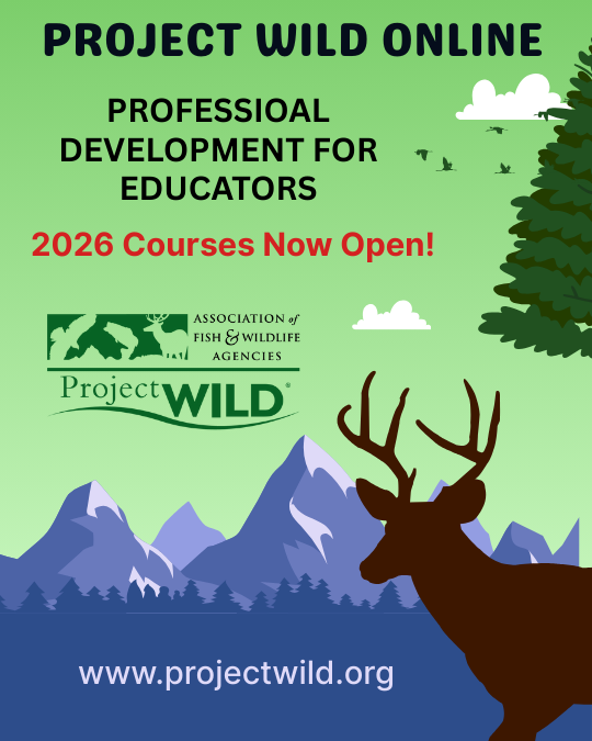 Project wild online 2026- Reduced.png