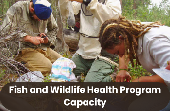 FWH Initiative photos (11).png
