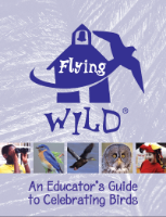 Flying WILD: An Educator's Guide to Celebrating Birds